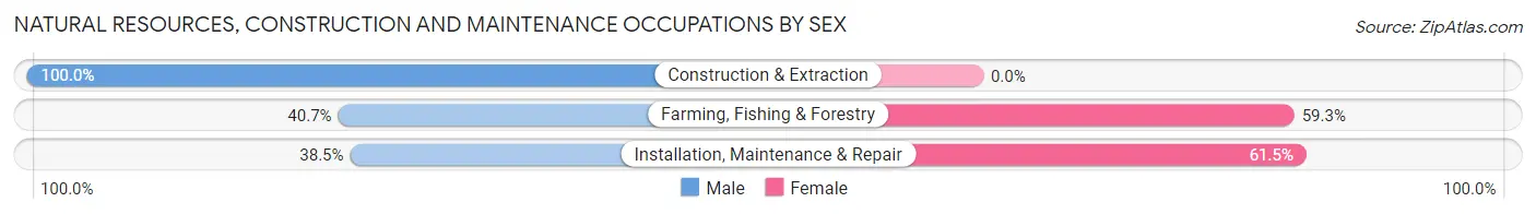Natural Resources, Construction and Maintenance Occupations by Sex in Zip Code 05445