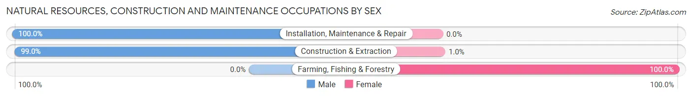 Natural Resources, Construction and Maintenance Occupations by Sex in Zip Code 05667