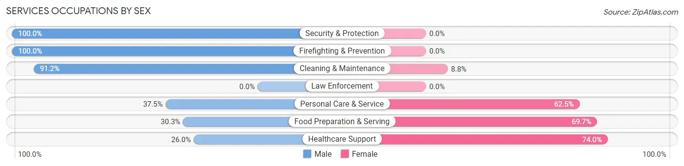 Services Occupations by Sex in Zip Code 05667