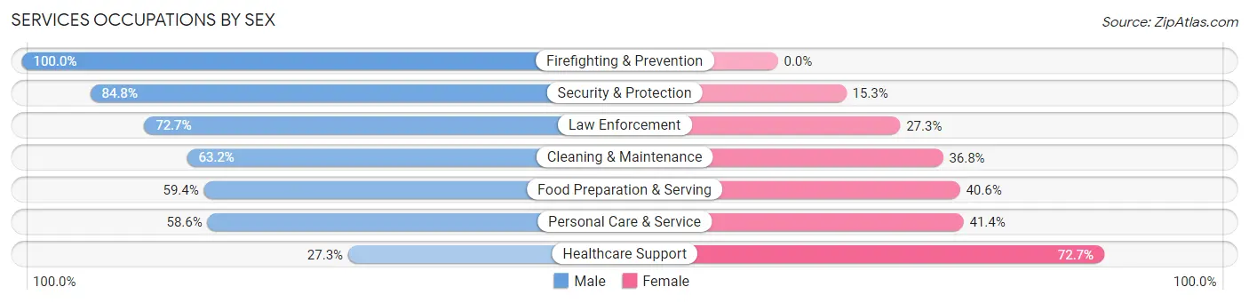 Services Occupations by Sex in Zip Code 05733