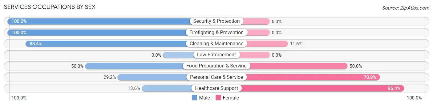 Services Occupations by Sex in Zip Code 05738
