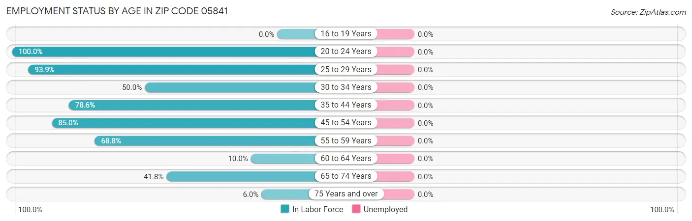 Employment Status by Age in Zip Code 05841