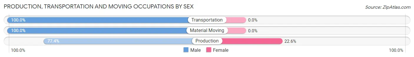 Production, Transportation and Moving Occupations by Sex in Zip Code 05857