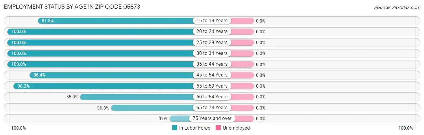Employment Status by Age in Zip Code 05873