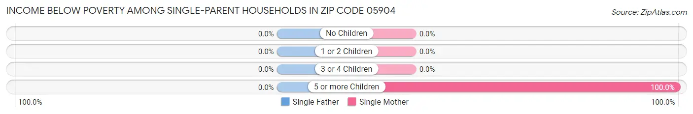 Income Below Poverty Among Single-Parent Households in Zip Code 05904