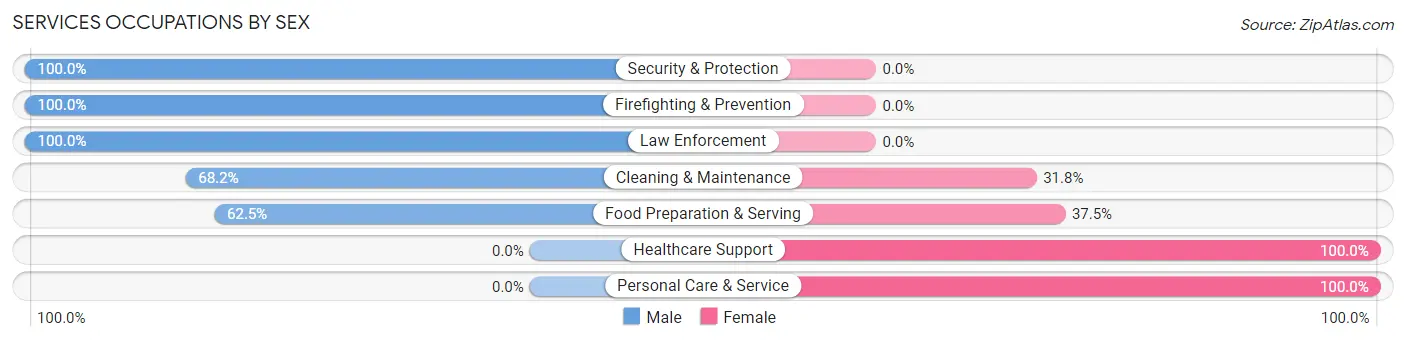 Services Occupations by Sex in Zip Code 06027