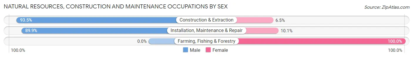 Natural Resources, Construction and Maintenance Occupations by Sex in Zip Code 06032