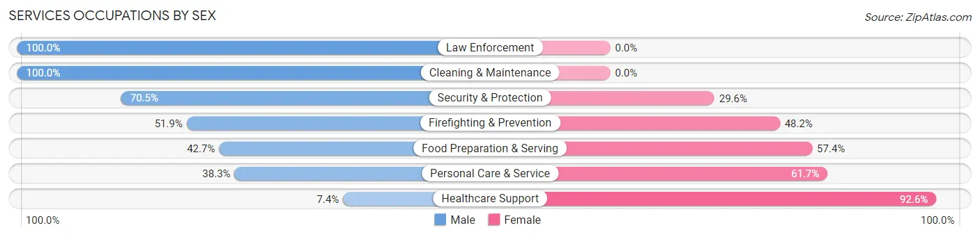 Services Occupations by Sex in Zip Code 06035