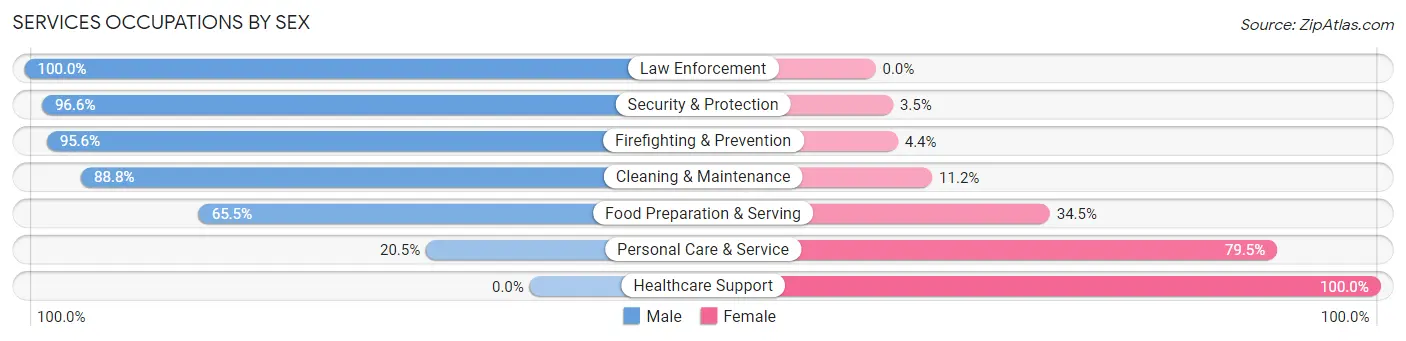 Services Occupations by Sex in Zip Code 06042