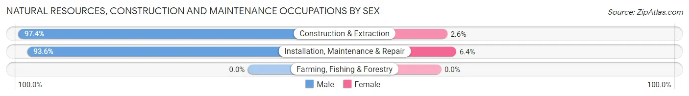Natural Resources, Construction and Maintenance Occupations by Sex in Zip Code 06084