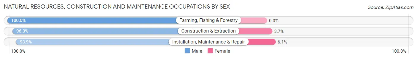 Natural Resources, Construction and Maintenance Occupations by Sex in Zip Code 06096