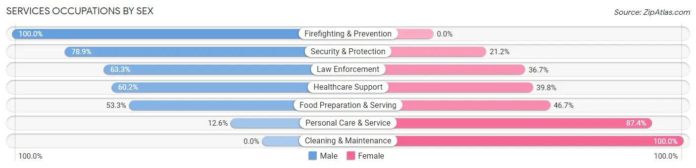 Services Occupations by Sex in Zip Code 06117