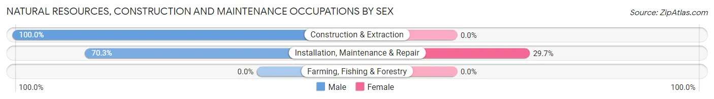 Natural Resources, Construction and Maintenance Occupations by Sex in Zip Code 06248