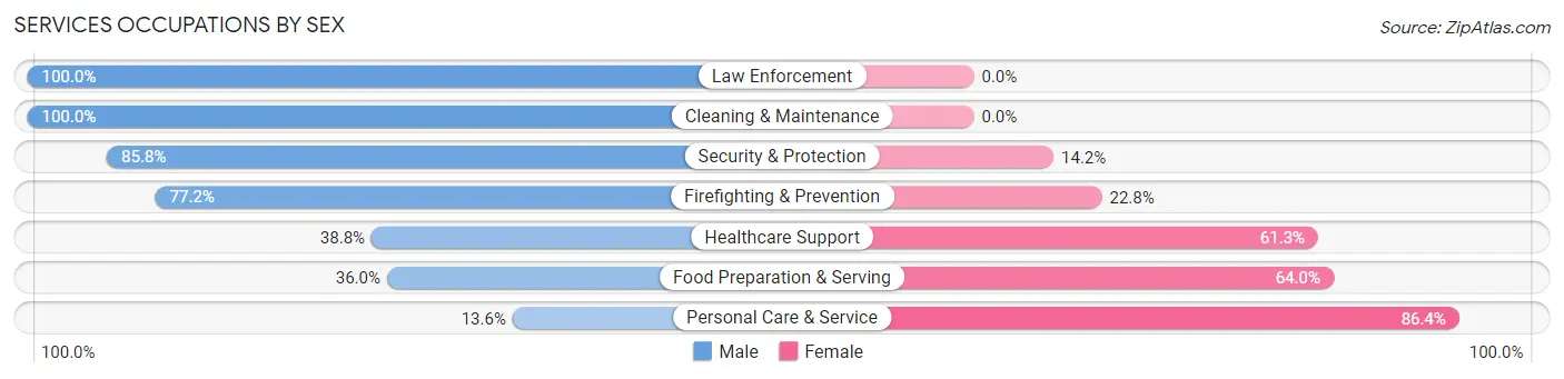 Services Occupations by Sex in Zip Code 06250