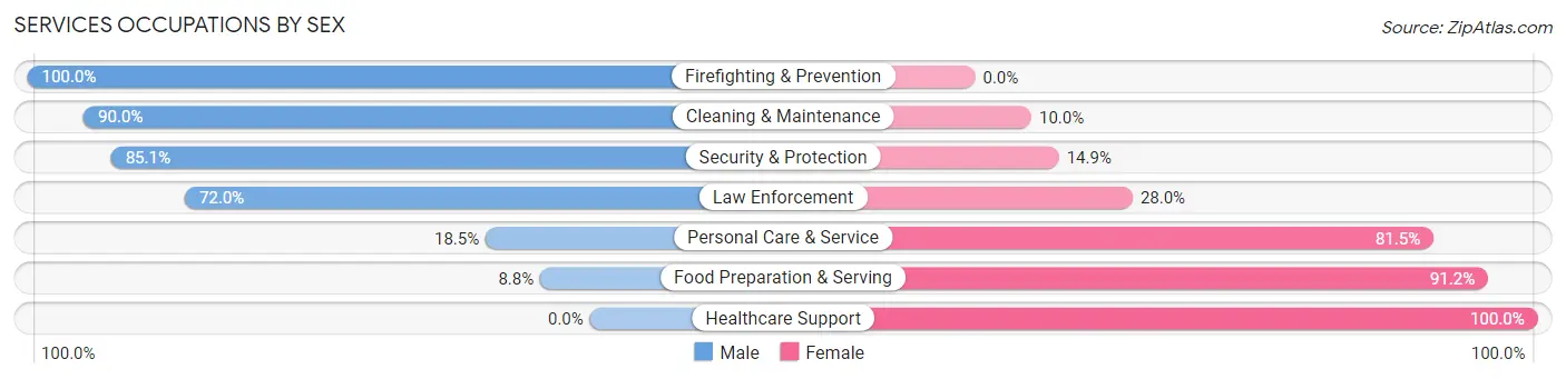 Services Occupations by Sex in Zip Code 06254