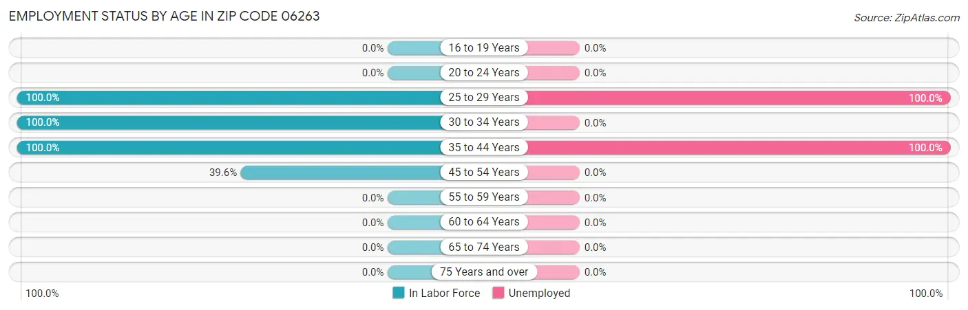 Employment Status by Age in Zip Code 06263