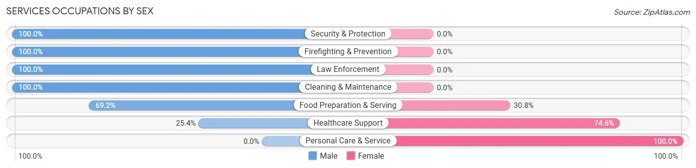 Services Occupations by Sex in Zip Code 06335
