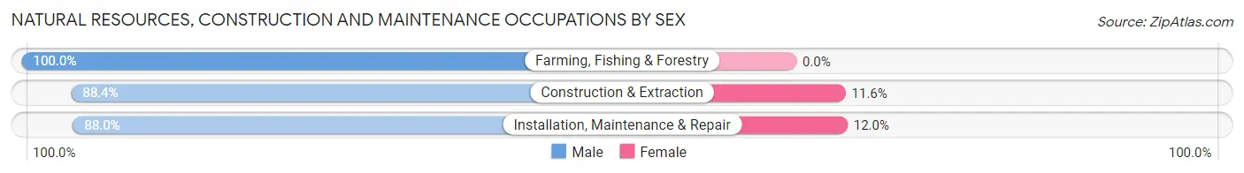 Natural Resources, Construction and Maintenance Occupations by Sex in Zip Code 06410