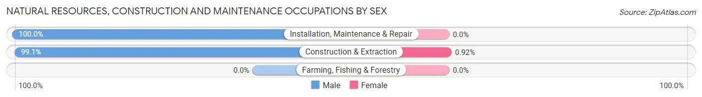 Natural Resources, Construction and Maintenance Occupations by Sex in Zip Code 06480