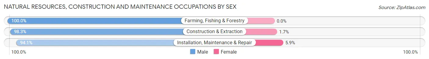 Natural Resources, Construction and Maintenance Occupations by Sex in Zip Code 06516
