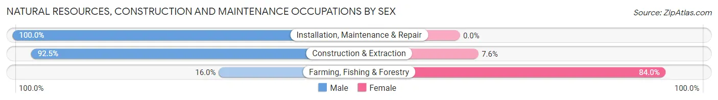 Natural Resources, Construction and Maintenance Occupations by Sex in Zip Code 06519