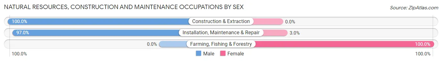Natural Resources, Construction and Maintenance Occupations by Sex in Zip Code 06791