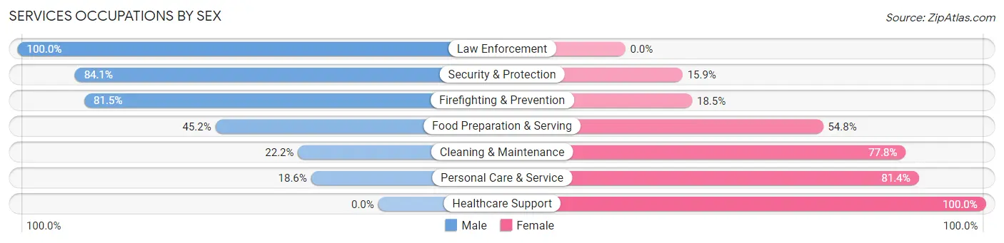 Services Occupations by Sex in Zip Code 06820