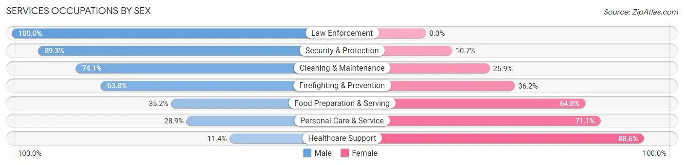 Services Occupations by Sex in Zip Code 07006