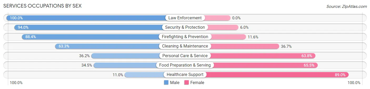 Services Occupations by Sex in Zip Code 07031