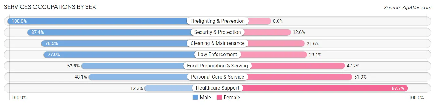 Services Occupations by Sex in Zip Code 07065