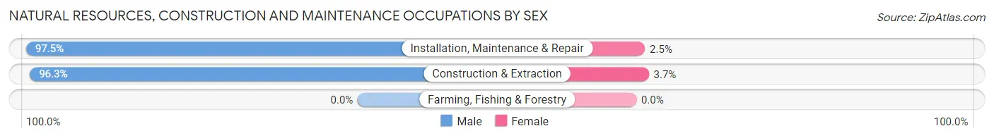 Natural Resources, Construction and Maintenance Occupations by Sex in Zip Code 07109