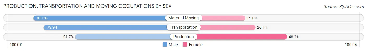 Production, Transportation and Moving Occupations by Sex in Zip Code 07110