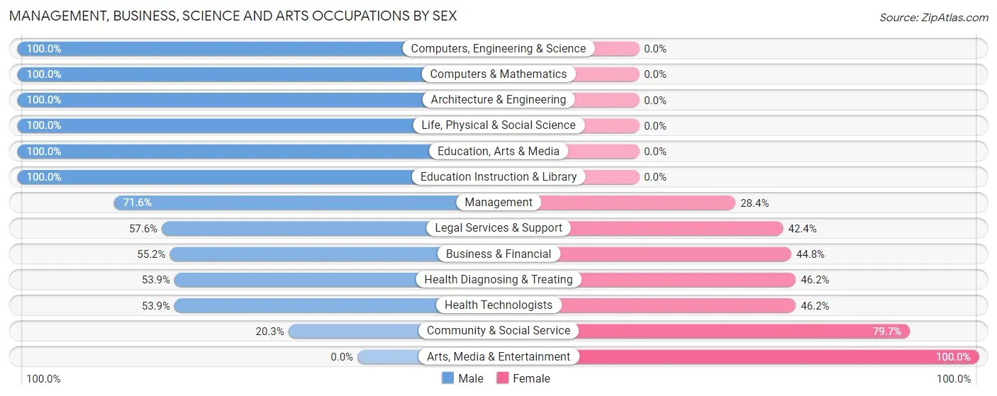 Management, Business, Science and Arts Occupations by Sex in Zip Code 07311