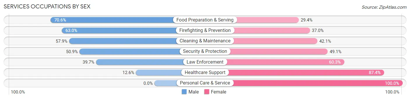 Services Occupations by Sex in Zip Code 07504