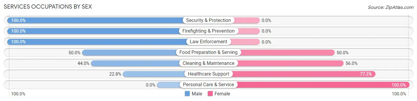 Services Occupations by Sex in Zip Code 07603