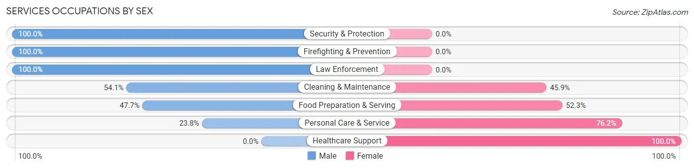 Services Occupations by Sex in Zip Code 07604