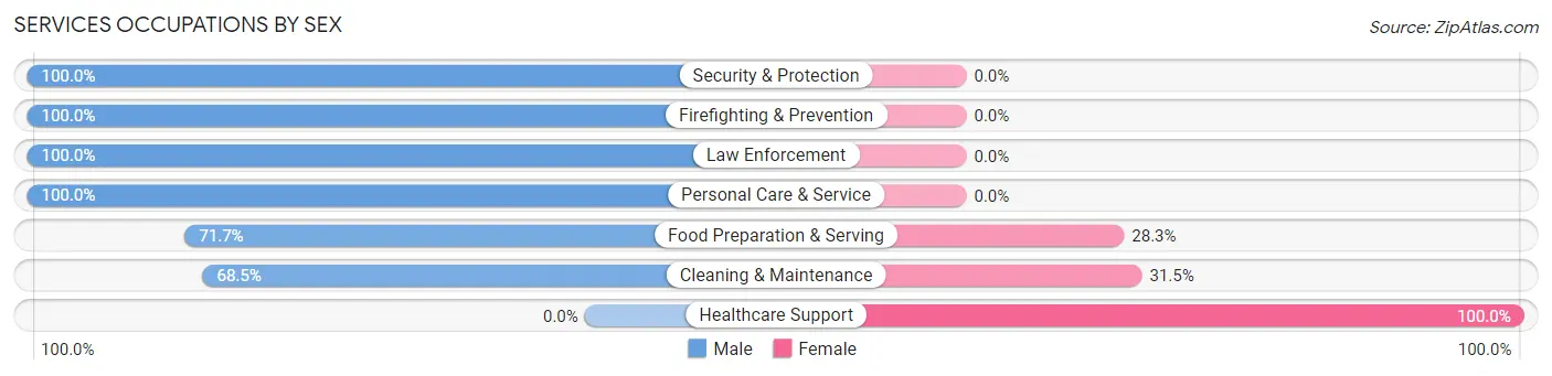 Services Occupations by Sex in Zip Code 07606