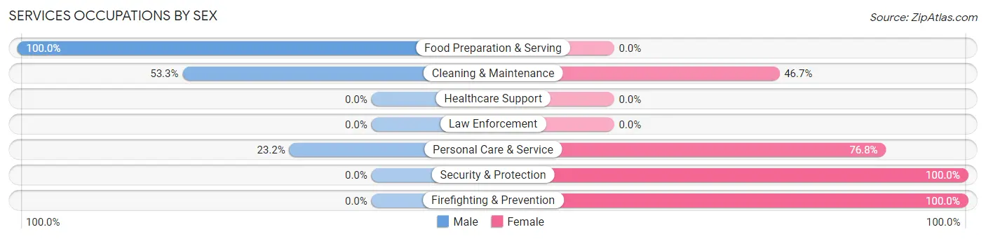 Services Occupations by Sex in Zip Code 07627