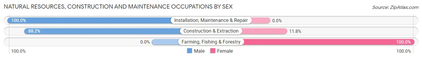 Natural Resources, Construction and Maintenance Occupations by Sex in Zip Code 07758