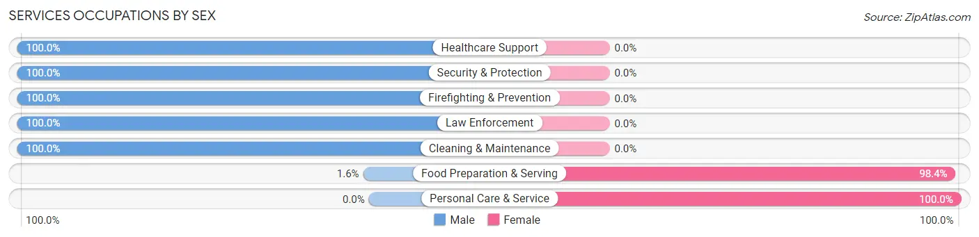 Services Occupations by Sex in Zip Code 07856