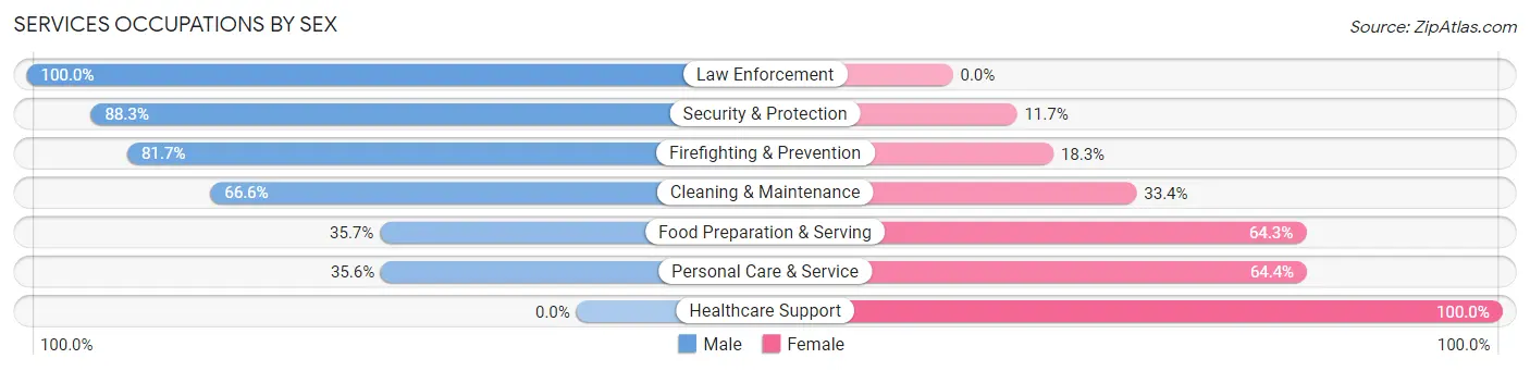 Services Occupations by Sex in Zip Code 07882