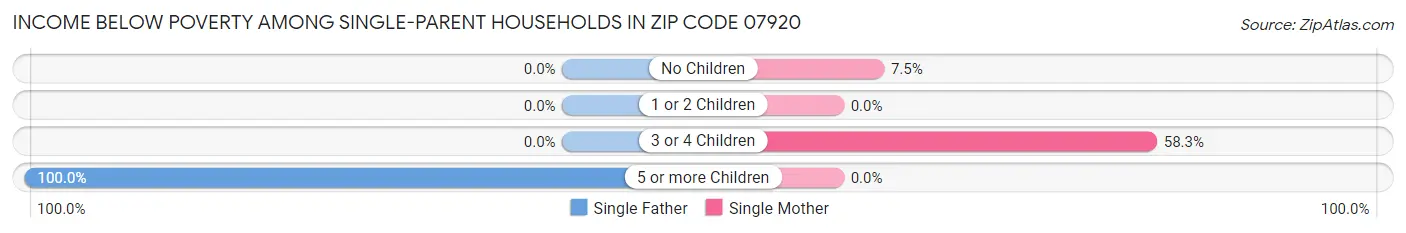 Income Below Poverty Among Single-Parent Households in Zip Code 07920