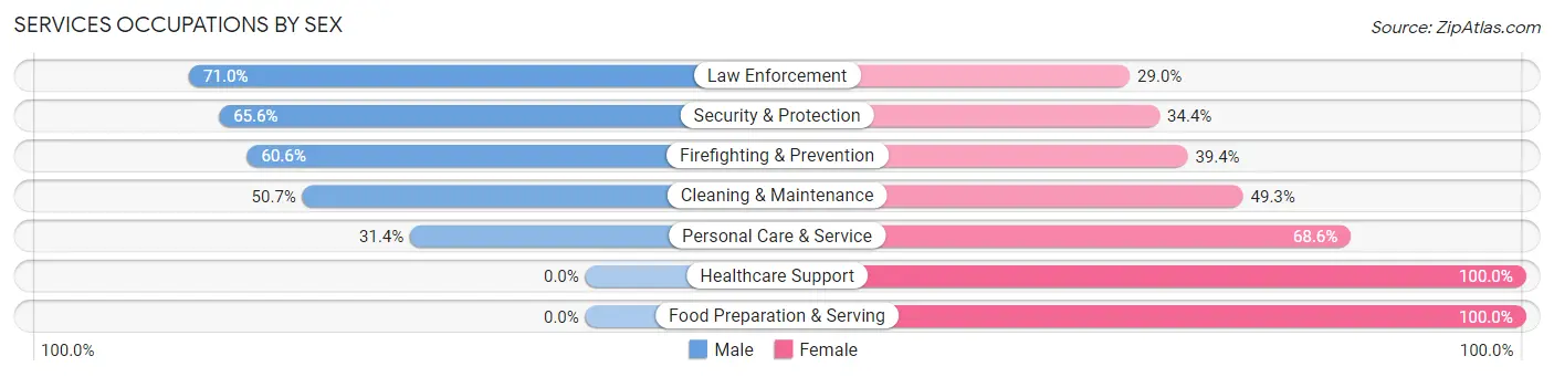 Services Occupations by Sex in Zip Code 07945