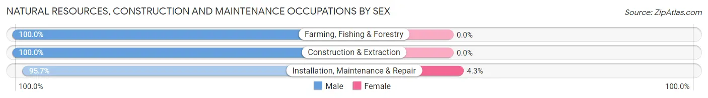 Natural Resources, Construction and Maintenance Occupations by Sex in Zip Code 08215