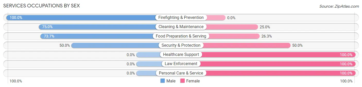 Services Occupations by Sex in Zip Code 08241