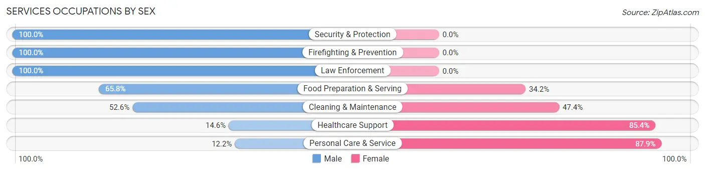 Services Occupations by Sex in Zip Code 08260