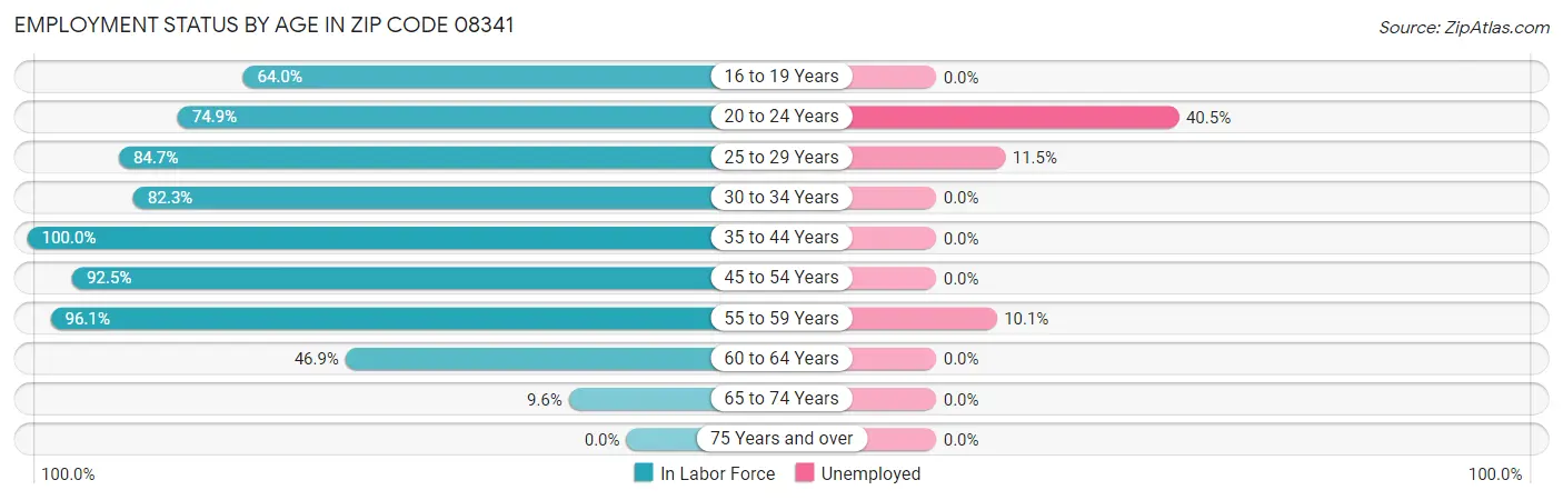 Employment Status by Age in Zip Code 08341