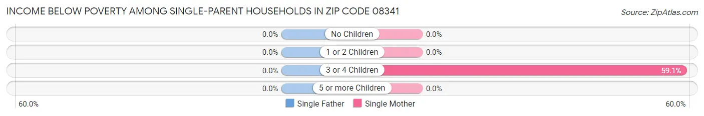 Income Below Poverty Among Single-Parent Households in Zip Code 08341