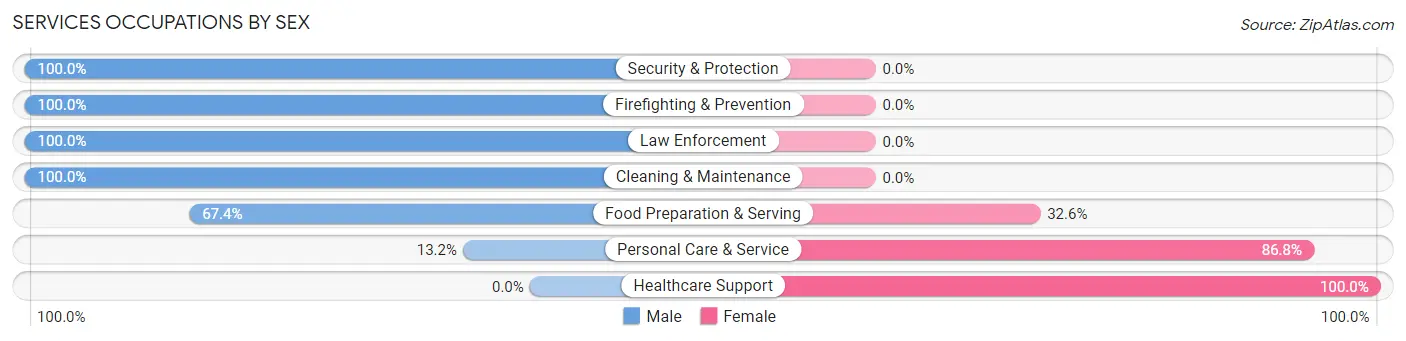 Services Occupations by Sex in Zip Code 08502