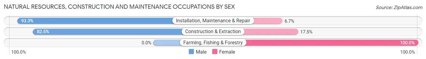 Natural Resources, Construction and Maintenance Occupations by Sex in Zip Code 08638